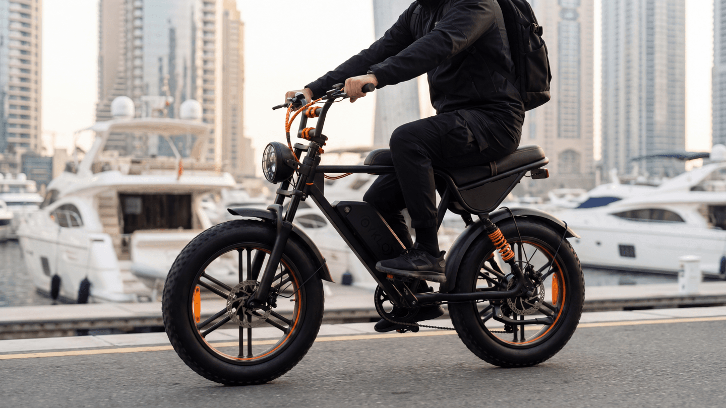 CIKLO E-Bike panoramica